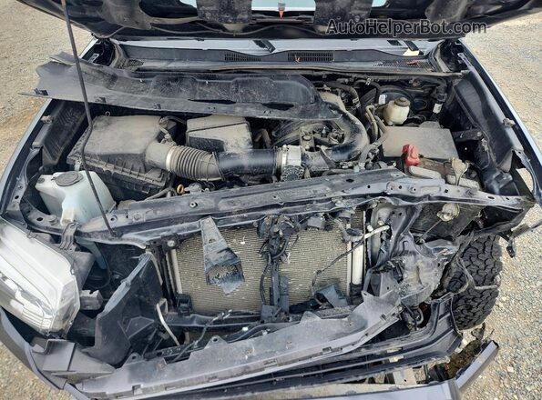 3TMCZ5AN8MM388687 2021 TOYOTA TACOMA Gray Vista interior trasera