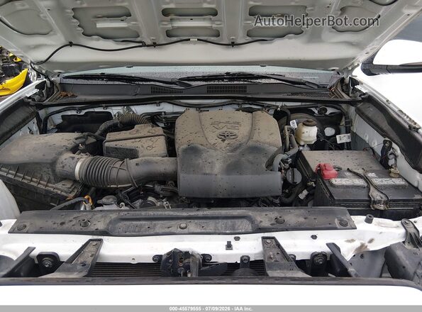 3TMCZ5AN8MM428234 2021 TOYOTA TACOMA Белый Вид сзади