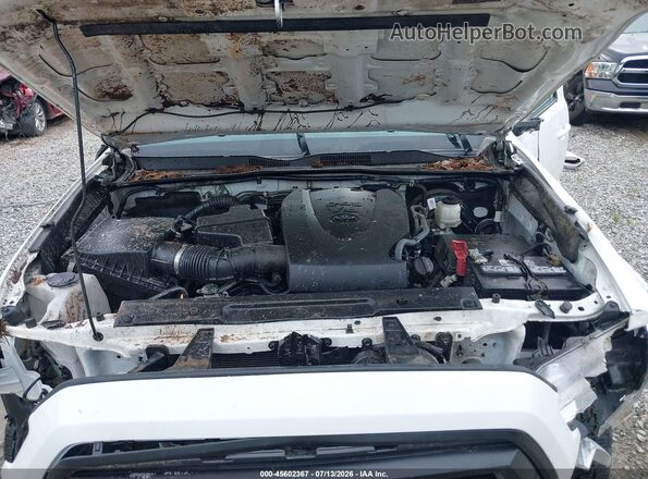 3TMCZ5AN8PM564321 2023 TOYOTA TACOMA White Հետևի տեսք