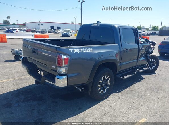 3TMCZ5AN8PM620144 2023 TOYOTA TACOMA Gray Tył prawy