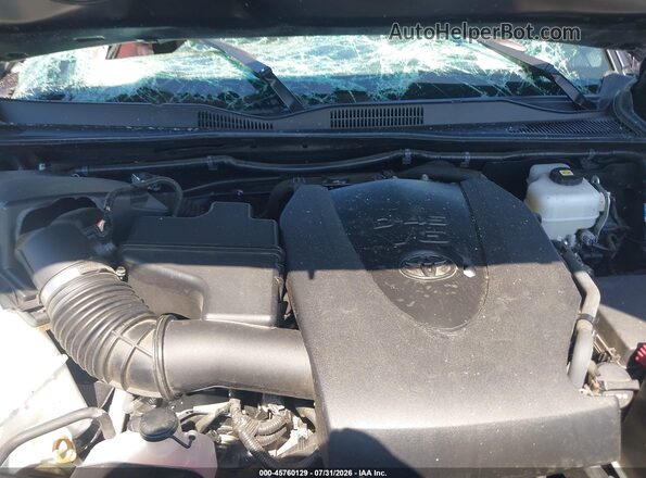 3TMCZ5AN8PM620144 2023 TOYOTA TACOMA Gray Widok z tyłu