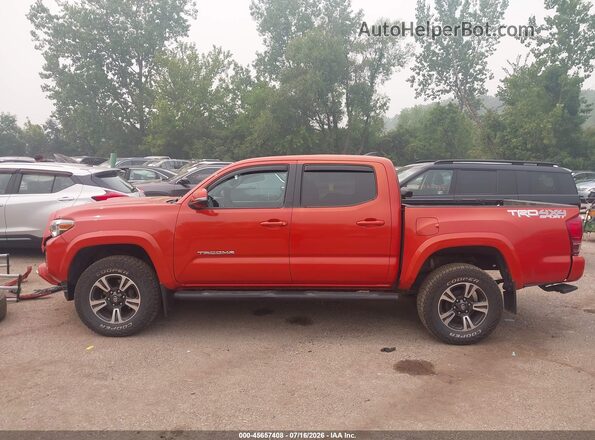 3TMCZ5AN9HM046672 2017 TOYOTA TACOMA Orange 