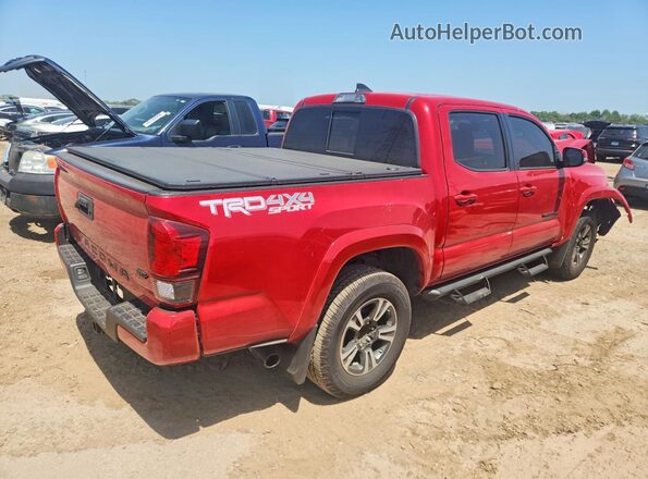 3TMCZ5AN9KM279975 2019 TOYOTA TACOMA Red Հետևի աջ