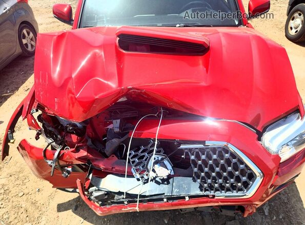 3TMCZ5AN9KM279975 2019 TOYOTA TACOMA Red Սալոնի հետևի տեսք
