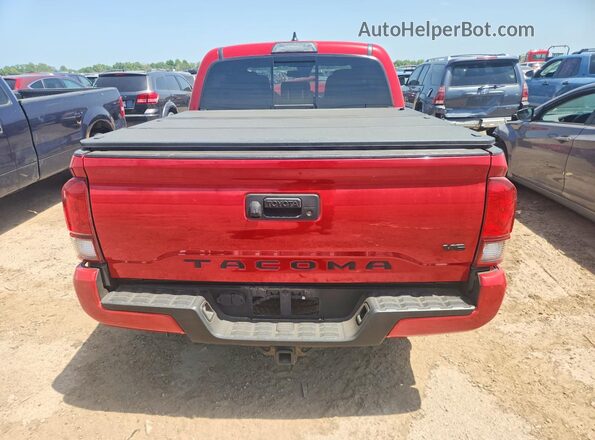 3TMCZ5AN9KM279975 2019 TOYOTA TACOMA Red Հետևի տեսք