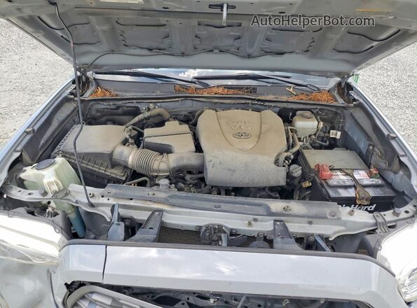 3TMCZ5AN9LM292324 2020 TOYOTA TACOMA Gray Սալոնի հետևի տեսք