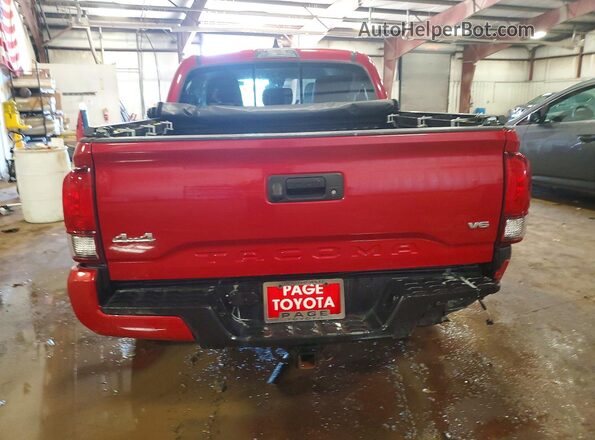 3TMCZ5AN9LM327251 2020 TOYOTA TACOMA Burgundy Вид ззаду