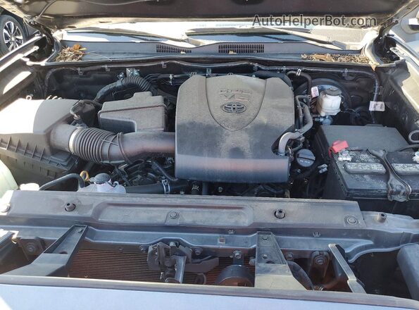 3TMCZ5AN9PM563338 2023 TOYOTA TACOMA Gray Սալոնի հետևի տեսք