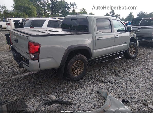 3TMCZ5AN9PM575599 2023 TOYOTA TACOMA Gray Tył prawy