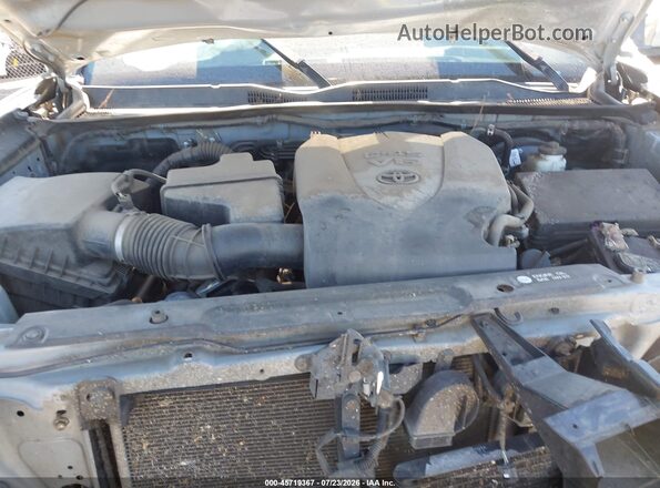 3TMCZ5ANXKM217081 2019 TOYOTA TACOMA Gray Հետևի տեսք