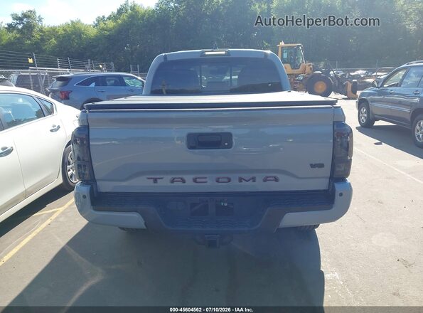 3TMCZ5ANXLM291196 2020 TOYOTA TACOMA Gray 