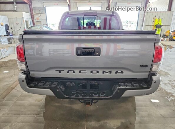 3TMCZ5ANXLM365961 2020 TOYOTA TACOMA Gray Rear view