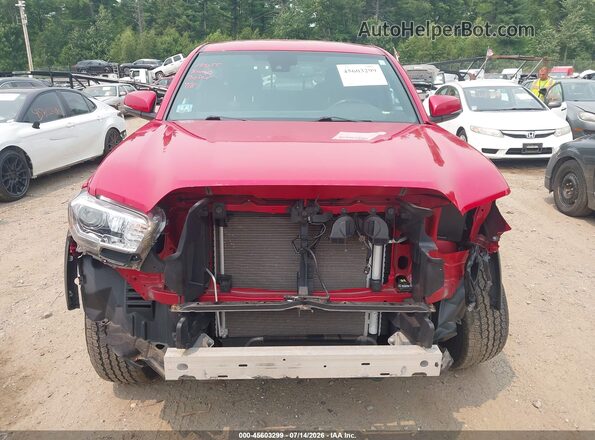 3TMCZ5ANXMM446461 2021 TOYOTA TACOMA Красный Вид задней части салона