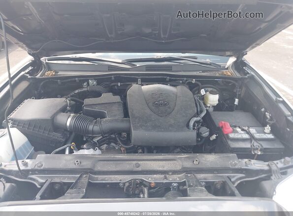 3TMCZ5ANXPM623840 2023 TOYOTA TACOMA Gray უკანა ხედი