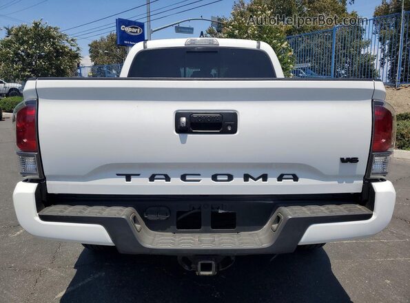 3TMCZ5ANXPM640220 2023 TOYOTA TACOMA White Rear view