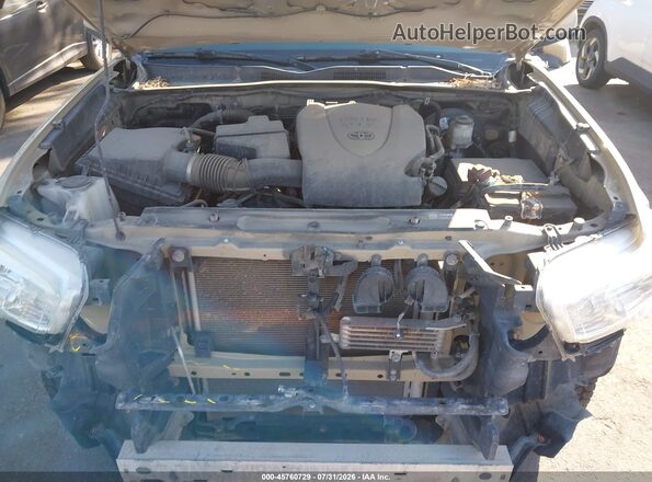 3TMDZ5BN1KM071995 2019 TOYOTA TACOMA Tan Вид ззаду