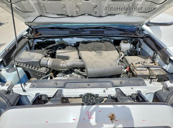 3TMDZ5BN1PM169125 2023 TOYOTA TACOMA White Սալոնի հետևի տեսք