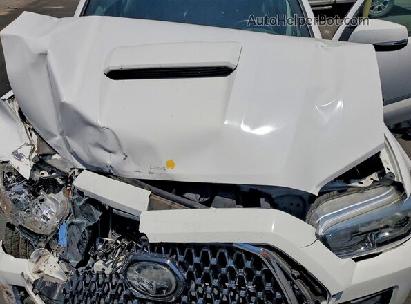3TMDZ5BN2KM073383 2019 TOYOTA TACOMA White Вид задньої частини салону