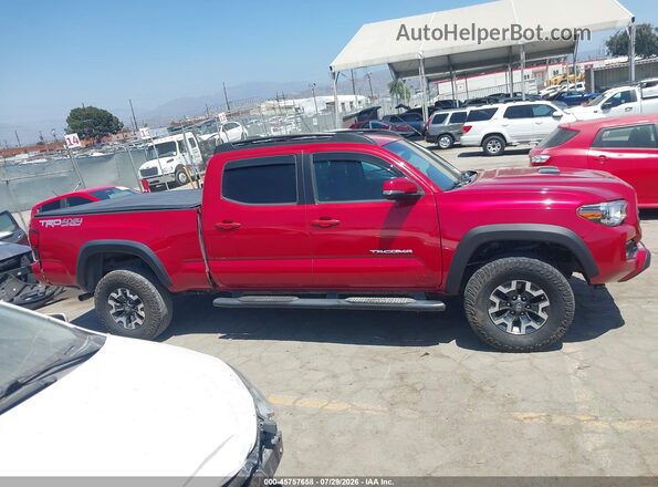 3TMDZ5BN3KM068712 2019 TOYOTA TACOMA Red Вид задньої частини салону