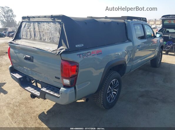 3TMDZ5BN4PM155137 2023 TOYOTA TACOMA Gray უკანა მარჯვენა
