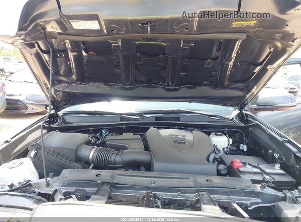 3TMDZ5BNXPM149598 2023 TOYOTA TACOMA Gray Widok z tyłu