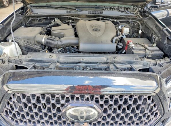 3TMGZ5AN0MM431081 2021 TOYOTA TACOMA Black Սալոնի հետևի տեսք