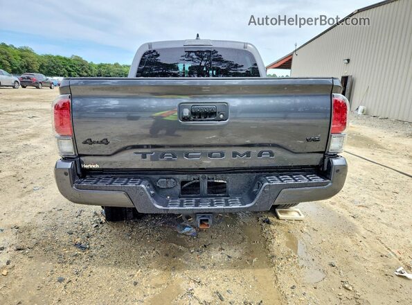 3TMGZ5AN9PM561123 2023 TOYOTA TACOMA Gray Вид ззаду