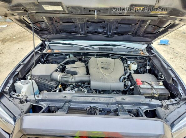 3TMGZ5AN9PM561123 2023 TOYOTA TACOMA Gray Вид задньої частини салону