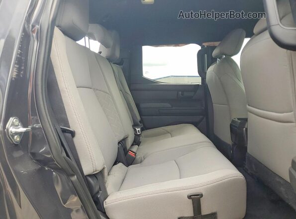 3TMKB5FN6SM026041 2025 TOYOTA TACOMA Charcoal Vista de los asientos traseros