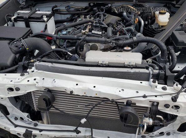 3TMKB5FN8RM022809 2024 TOYOTA TACOMA Белый Вид задней части салона
