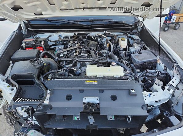 3TMLB5JN0RM003618 2024 TOYOTA TACOMA White Widok wnętrza z tyłu