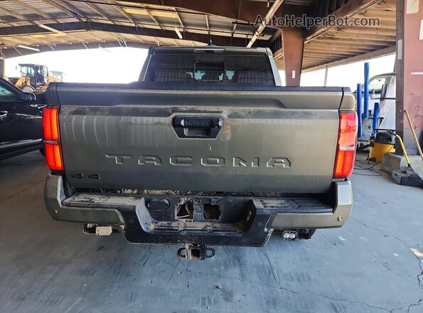 3TMLB5JN1RM062855 2024 TOYOTA TACOMA Green Вид ззаду