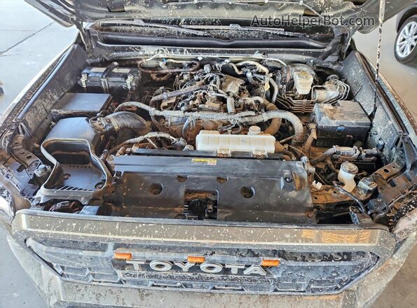 3TMLB5JN1RM062855 2024 TOYOTA TACOMA Green Вид задньої частини салону