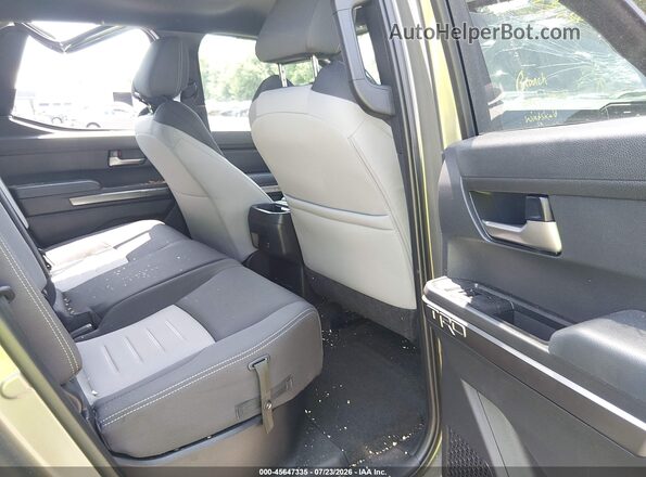 3TMLB5JN3SM201499 2025 TOYOTA TACOMA Tan VIN sticker view