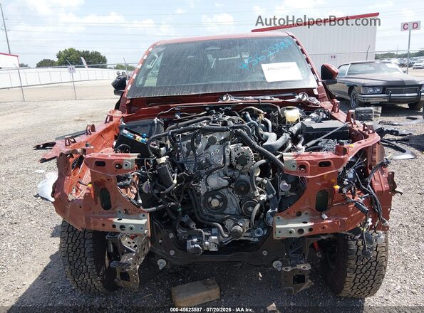 3TMLB5JN5SM114753 2025 TOYOTA TACOMA Orange Вид ззаду