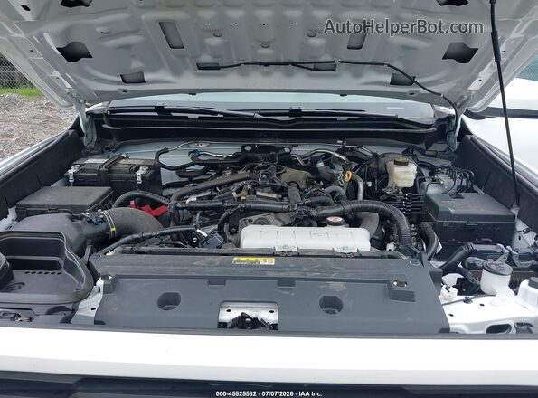 3TMLB5JN5SM118060 2025 TOYOTA TACOMA White Widok z tyłu