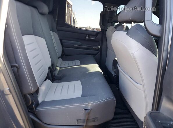 3TMLB5JN6RM067128 2024 TOYOTA TACOMA Gray Հետևի նստատեղերի տեսք