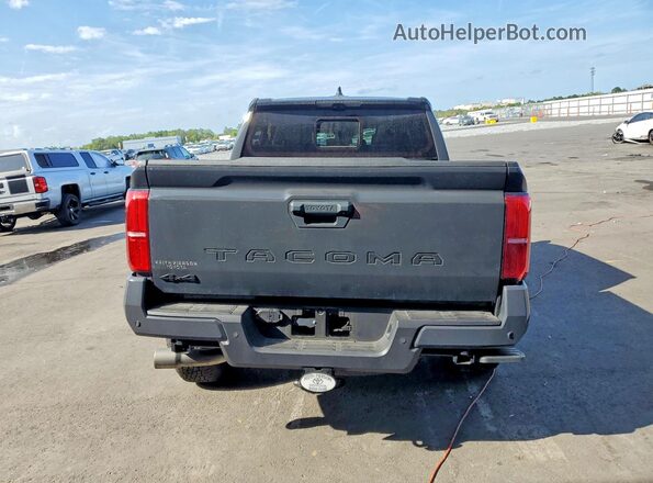 3TMLB5JN6SM107407 2025 TOYOTA TACOMA Gray Rear view