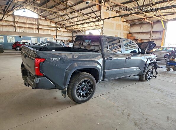 3TMLB5JN7RM038334 2024 TOYOTA TACOMA Gray უკანა მარჯვენა