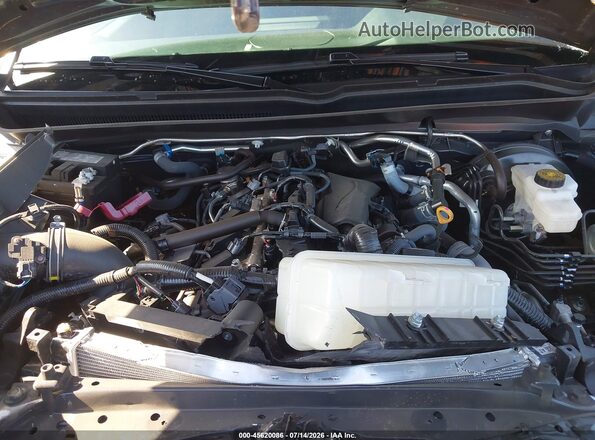 3TMLB5JN7SM185291 2025 TOYOTA TACOMA Gray Вид ззаду