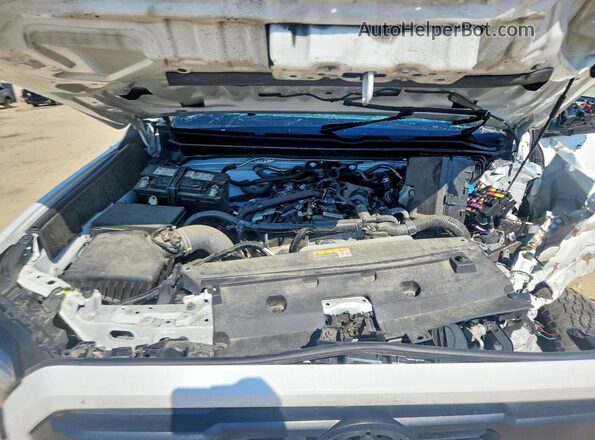 3TMLB5JN8RM054980 2024 TOYOTA TACOMA White Widok wnętrza z tyłu