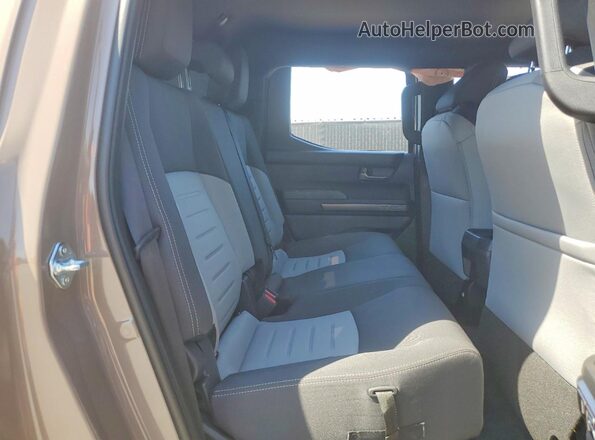 3TMLB5JN8TM237108 2026 TOYOTA TACOMA Tan Вид задніх сидінь