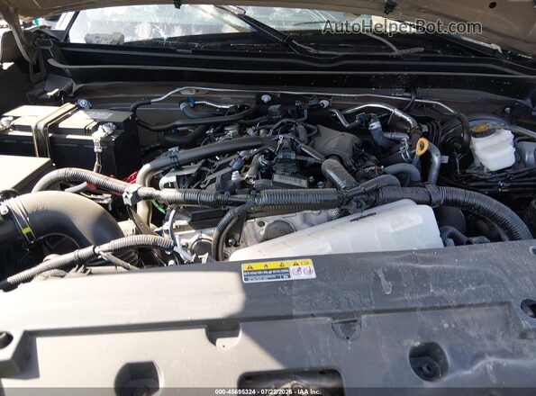 3TMLB5JN9TM243919 2026 TOYOTA TACOMA Brown Rear view