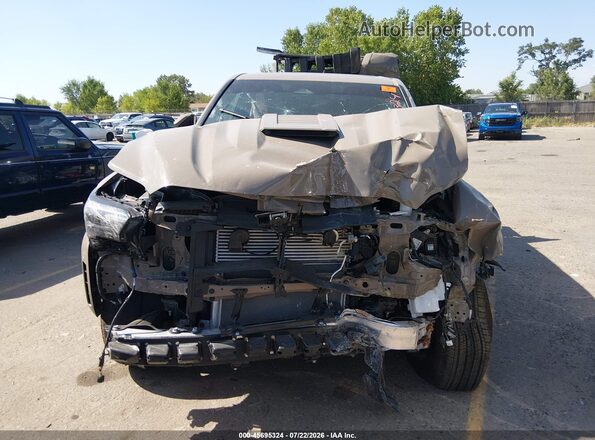 3TMLB5JN9TM243919 2026 TOYOTA TACOMA Brown Rear interior view