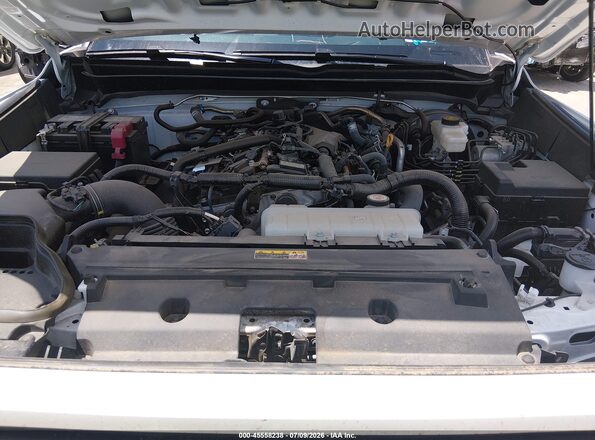3TMLB5JNXSM164385 2025 TOYOTA TACOMA White Rear view