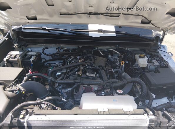 3TMLB5JNXSM192588 2025 TOYOTA TACOMA White Widok z tyłu