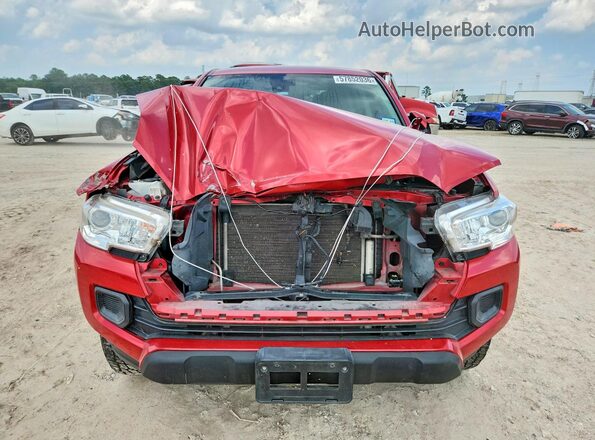 3TYAX5GN2MT012026 2021 TOYOTA TACOMA Red Вид спереду