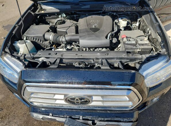3TYCZ5AN0MT029497 2021 TOYOTA TACOMA Black Vista interior trasera