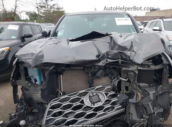 3TYCZ5AN0PT126946 2023 TOYOTA TACOMA Gray Հետևի տեսք