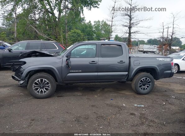 3TYCZ5AN0PT126946 2023 TOYOTA TACOMA Gray Սալոնի 360 աստիճան տեսք